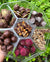 Fames Seventh Heaven Holiday Cashew Assortment, Kosher, Dairy Free.